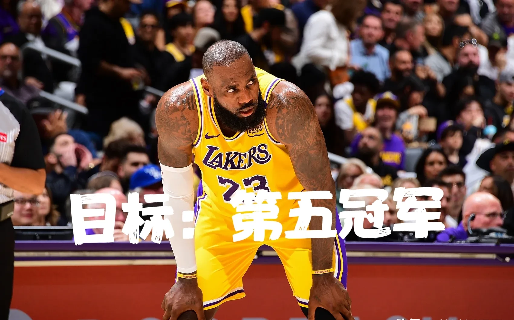 关于詹姆斯重返赛场，险胜首场状态出色，TES观众沸腾！的信息
